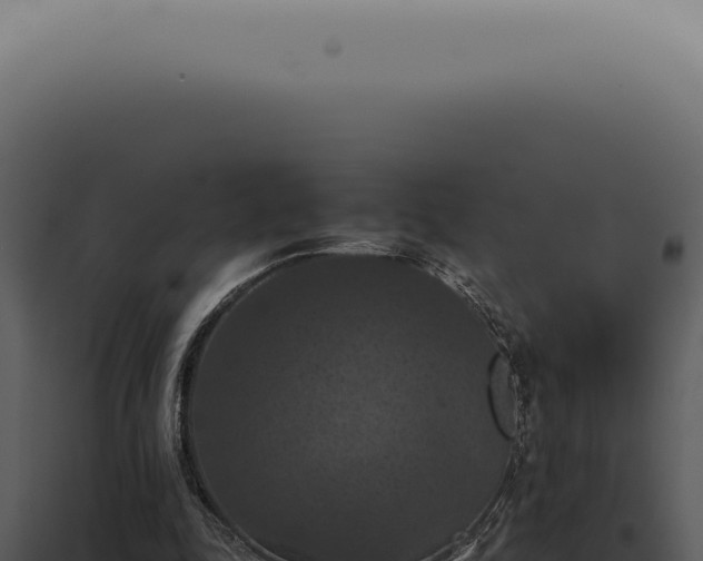 X0000098000343200804011838