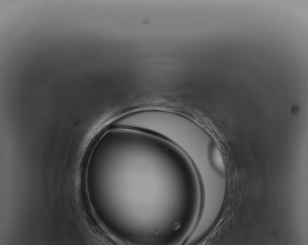 X0000098000344200804011838