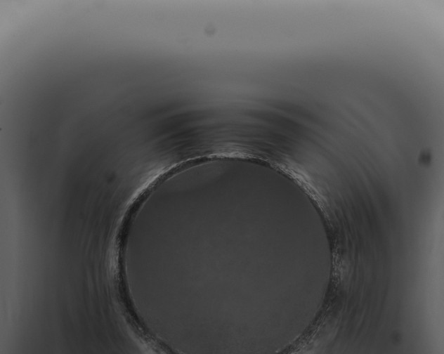 X0000098000347200804011838