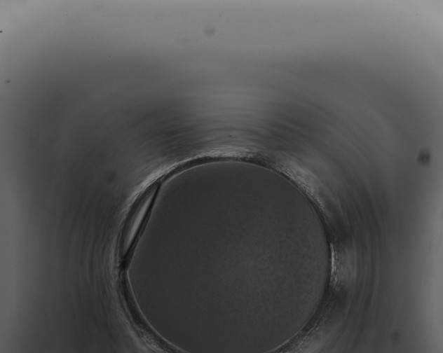 X0000098000348200804011838