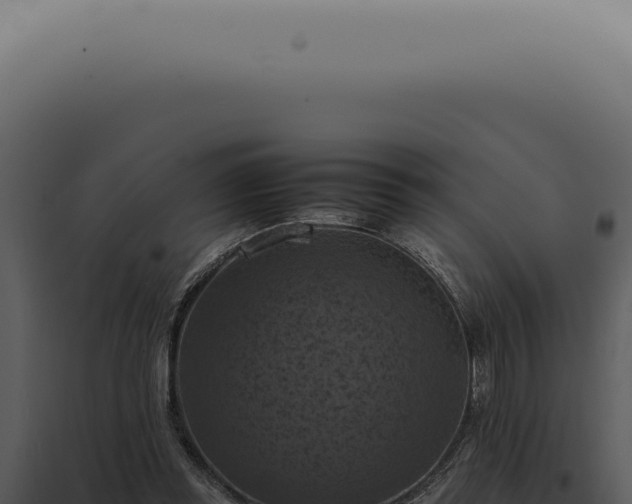 X0000098000349200804011838
