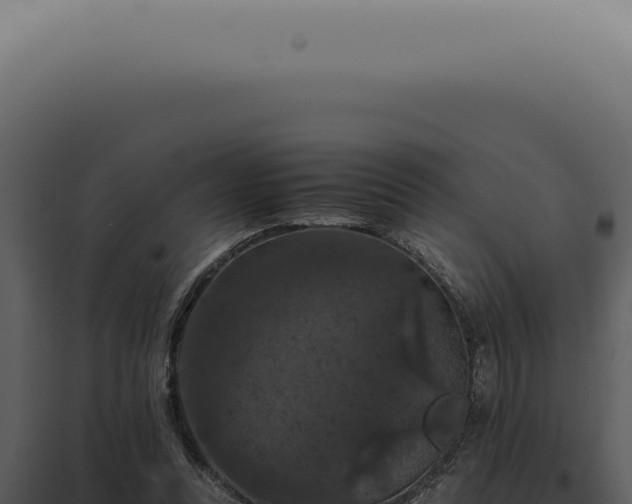 X0000098000351200804011838