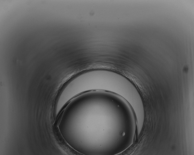 X0000098000352200804011838