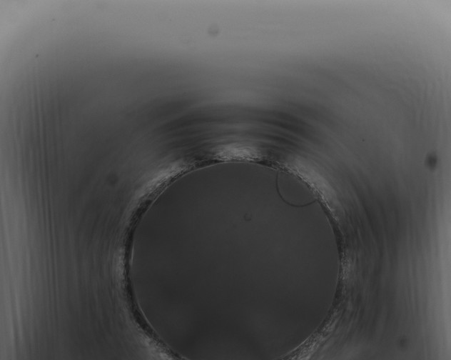 X0000098000353200804011838