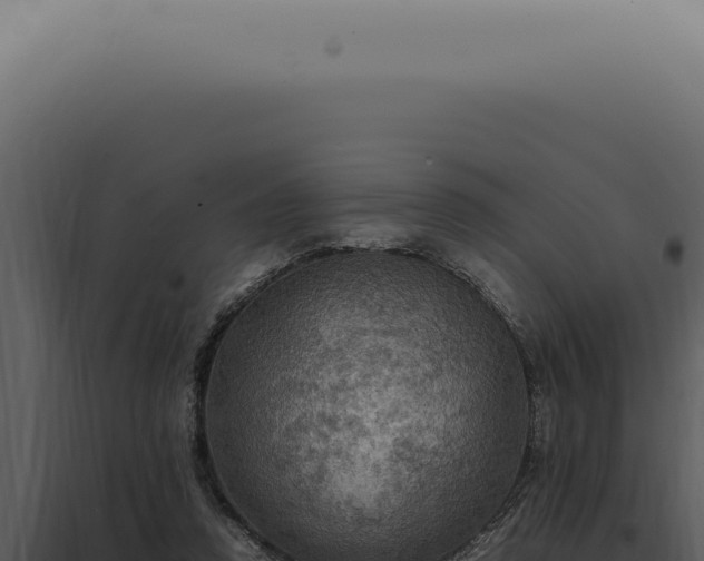 X0000098000354200804011838