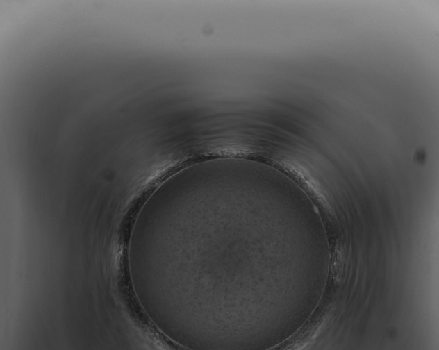 X0000098000355200804011838