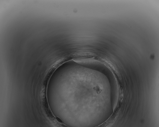 X0000098000356200804011838