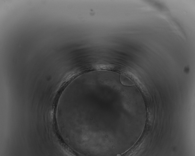 X0000098000357200804011838