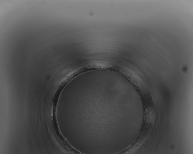 X0000098000358200804011838