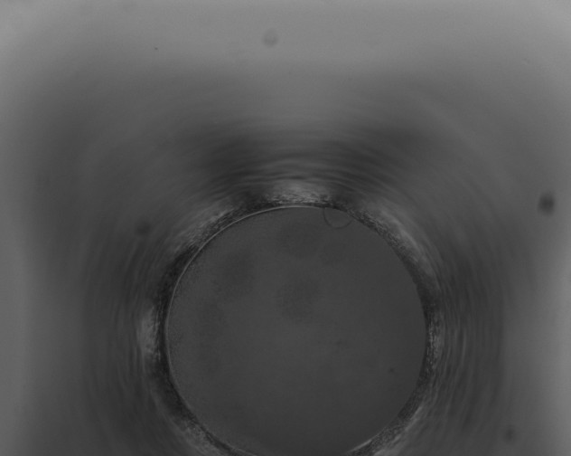 X0000098000359200804011838