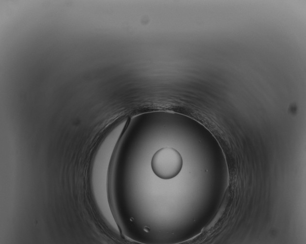 X0000098000360200804011838