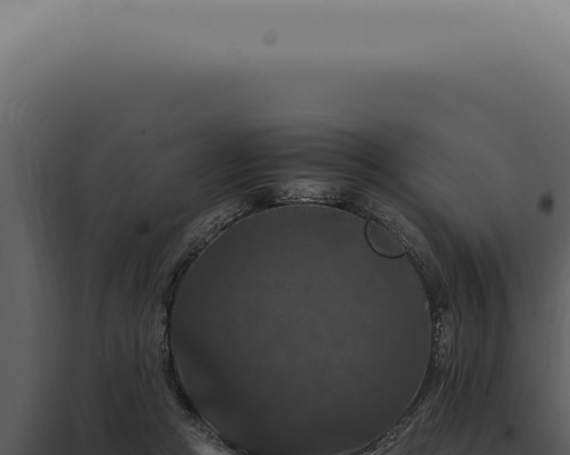 X0000098000361200804011838
