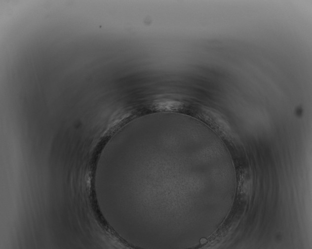 X0000098000363200804011838