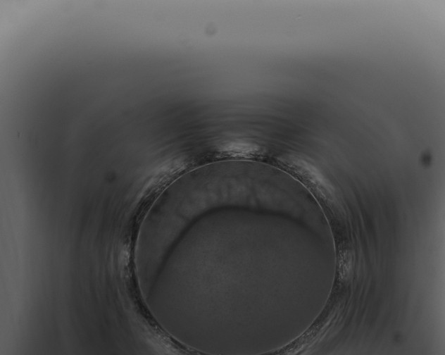 X0000098000365200804011838