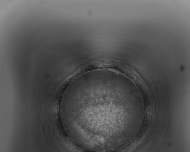 X0000098000372200804011838