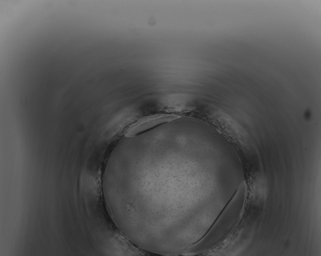 X0000098000376200804011838