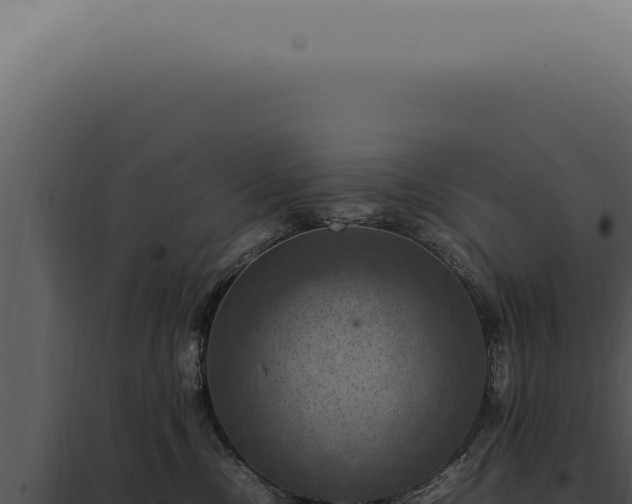 X0000098000378200804011838