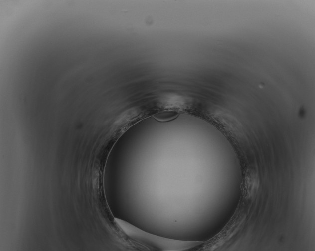X0000098000379200804011838
