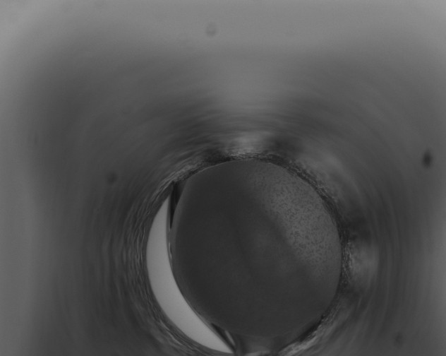 X0000098000380200804011838