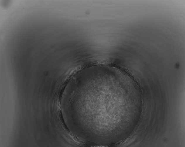X0000098000384200804011838