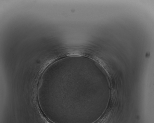 X0000098000385200804011837