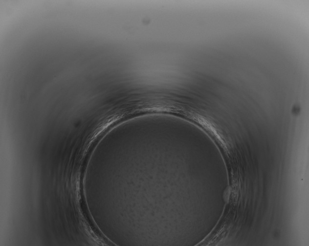 X0000098000386200804011837