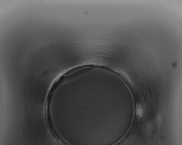X0000098000388200804011837
