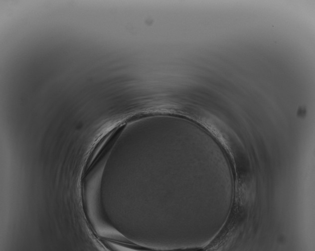 X0000098000389200804011837