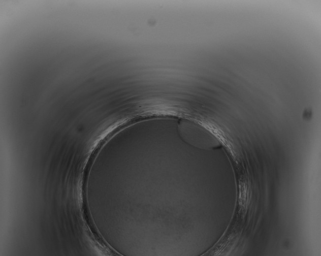 X0000098000390200804011837
