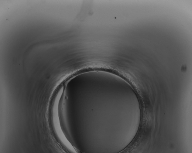 X0000098000391200804011837