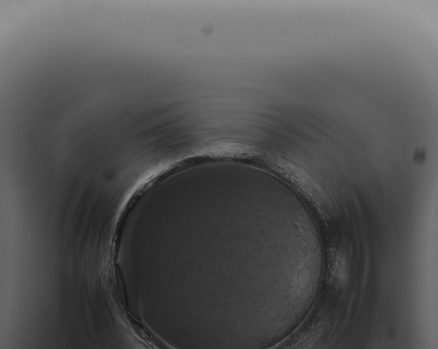 X0000098000392200804011837