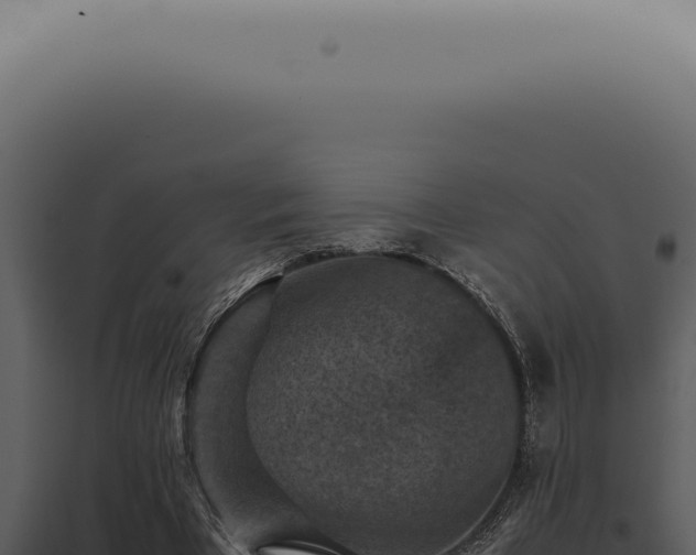 X0000098000393200804011837
