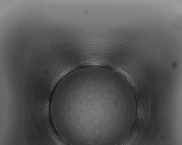 X0000098000394200804011837