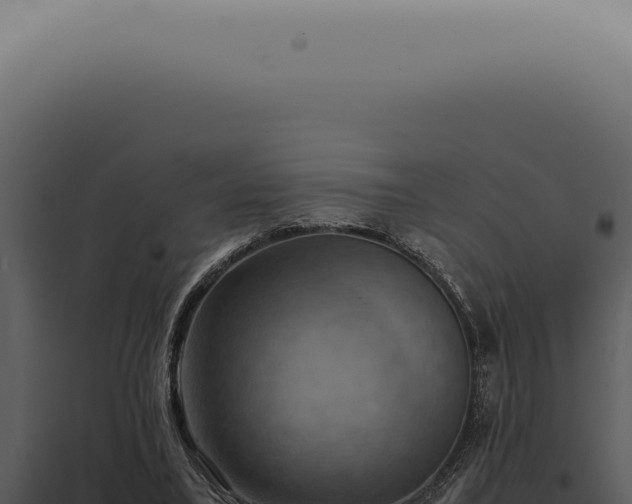 X0000098000395200804011837
