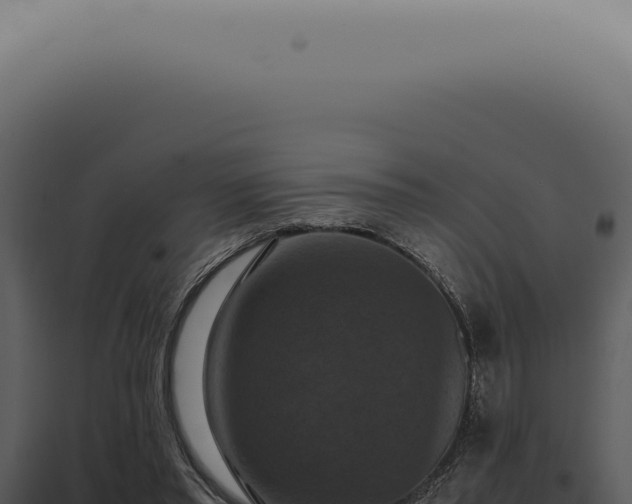 X0000098000397200804011837