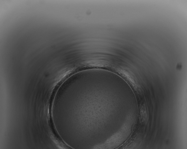 X0000098000398200804011837