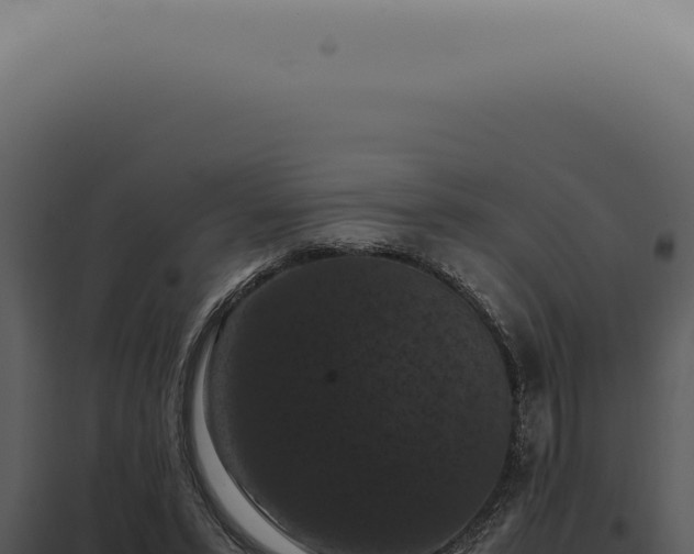 X0000098000399200804011837