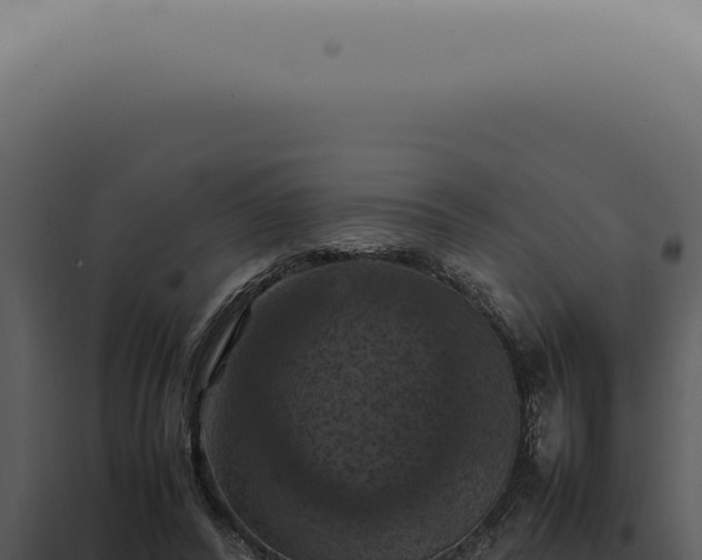 X0000098000400200804011837