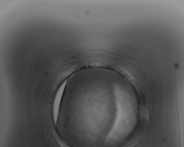 X0000098000401200804011837