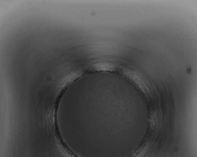 X0000098000402200804011837