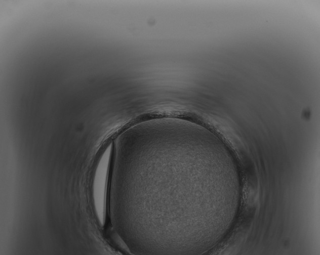 X0000098000403200804011837