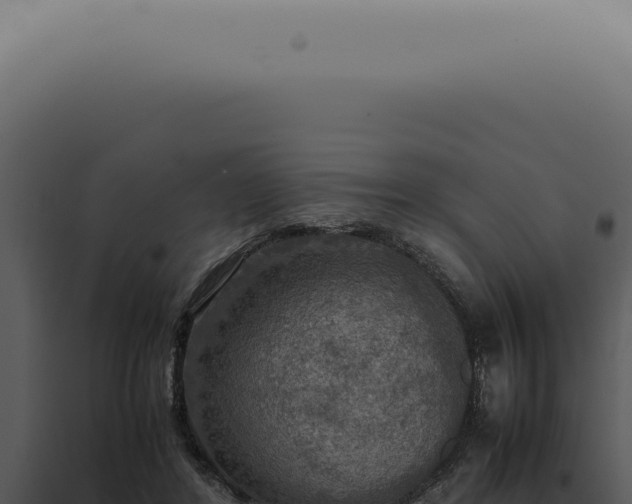 X0000098000404200804011837