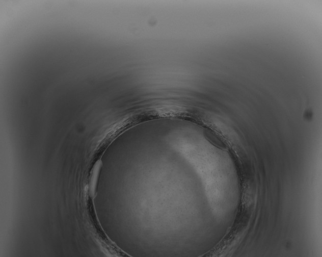 X0000098000405200804011837