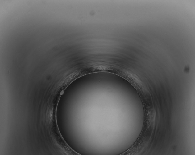 X0000098000406200804011837