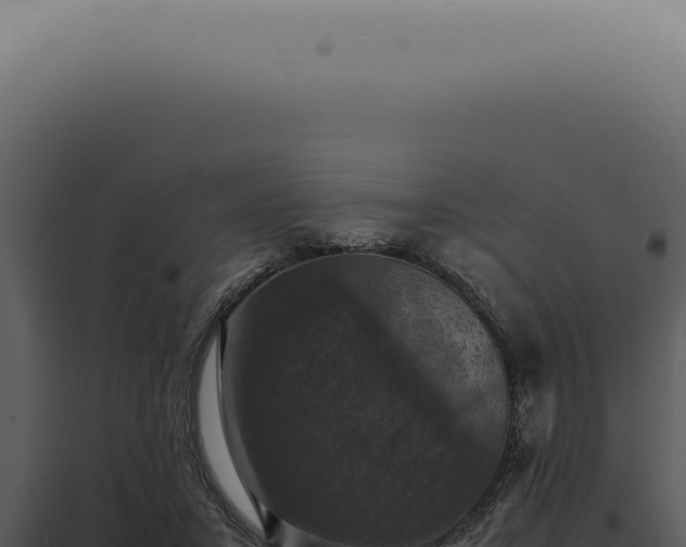 X0000098000407200804011837