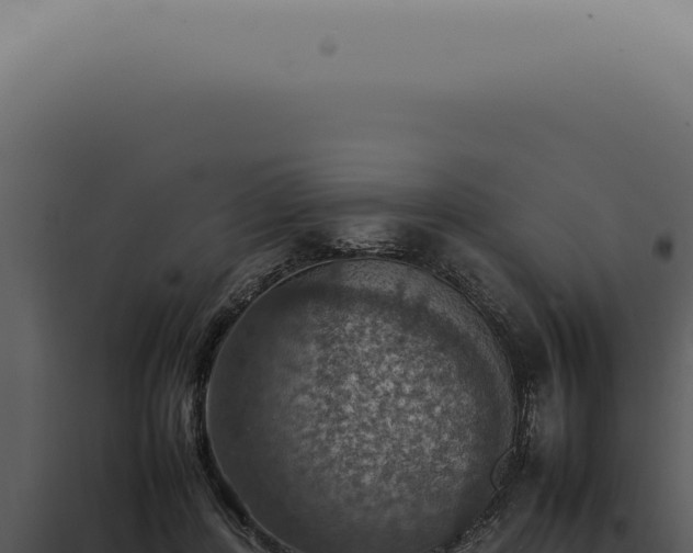 X0000098000408200804011837