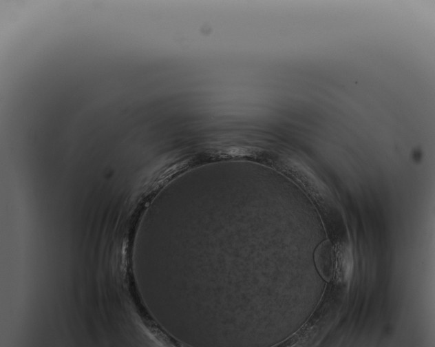 X0000098000410200804011837