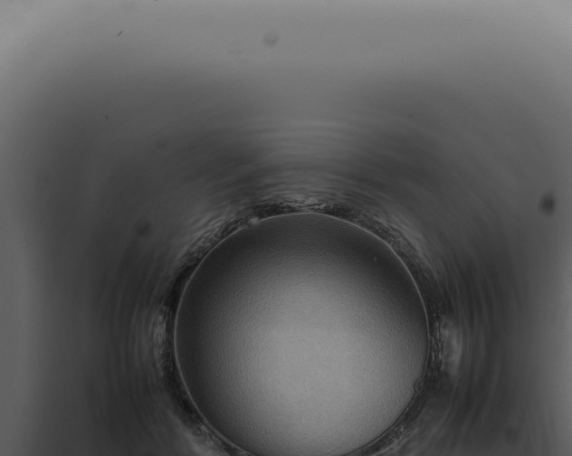 X0000098000412200804011837