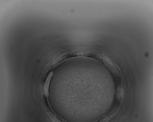 X0000098000413200804011837