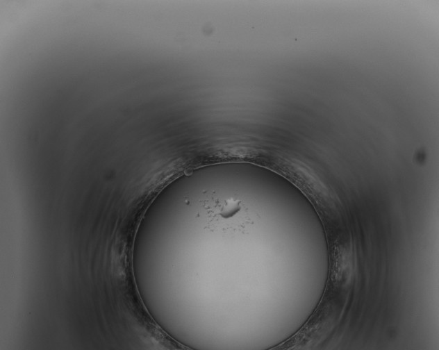 X0000098000414200804011837